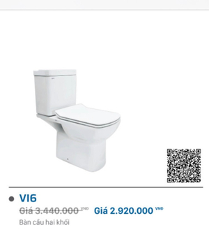 Cầu trẻ em VI6